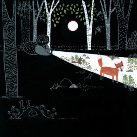 Libro - Linterna mágica