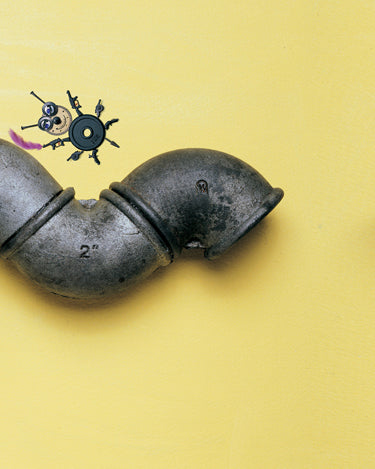 Libro - La pluma violeta