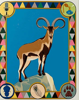 Libro - Superpoderes animales