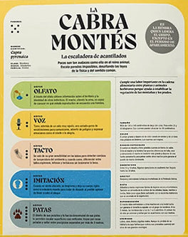 Libro - Superpoderes animales