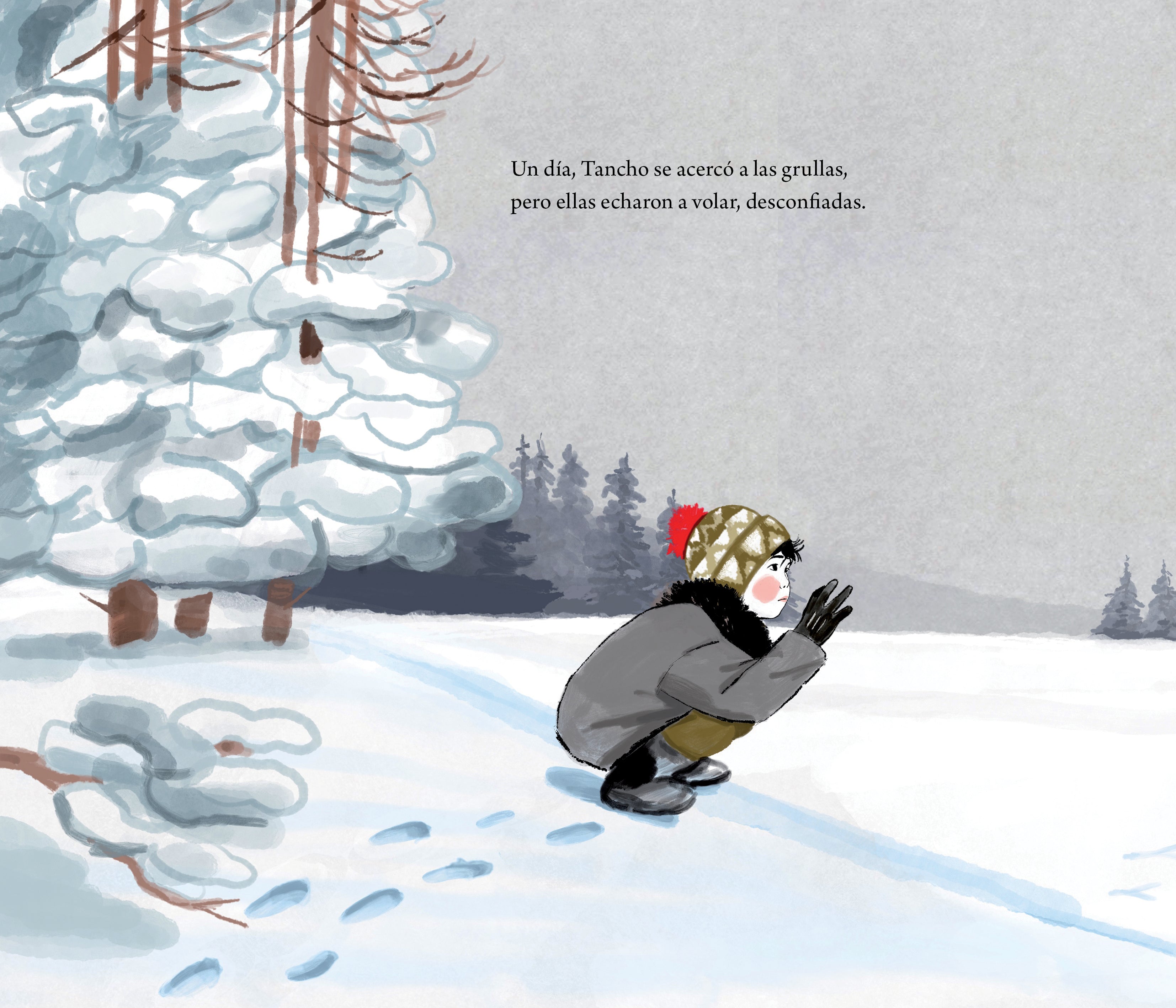 Libro - Tancho