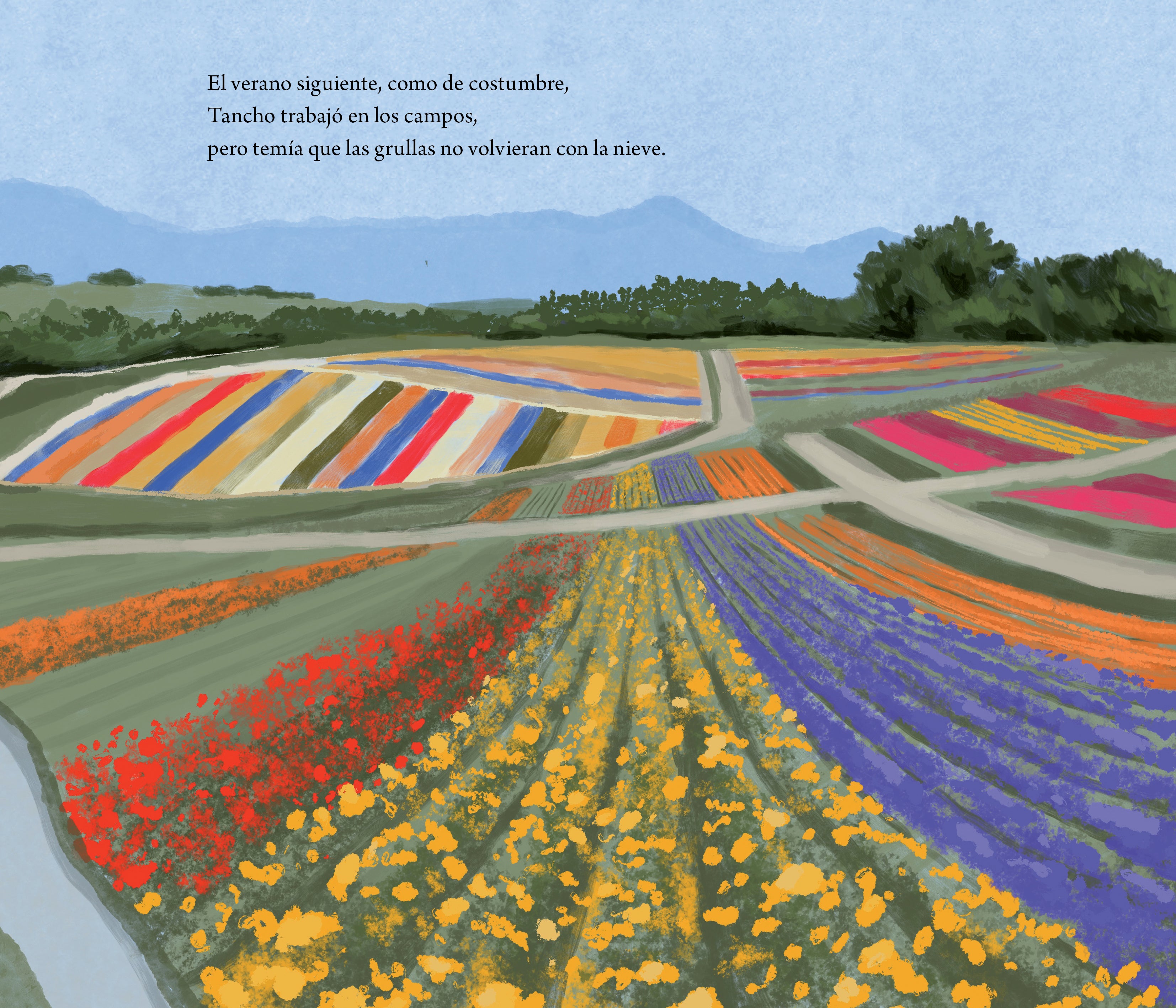 Libro - Tancho