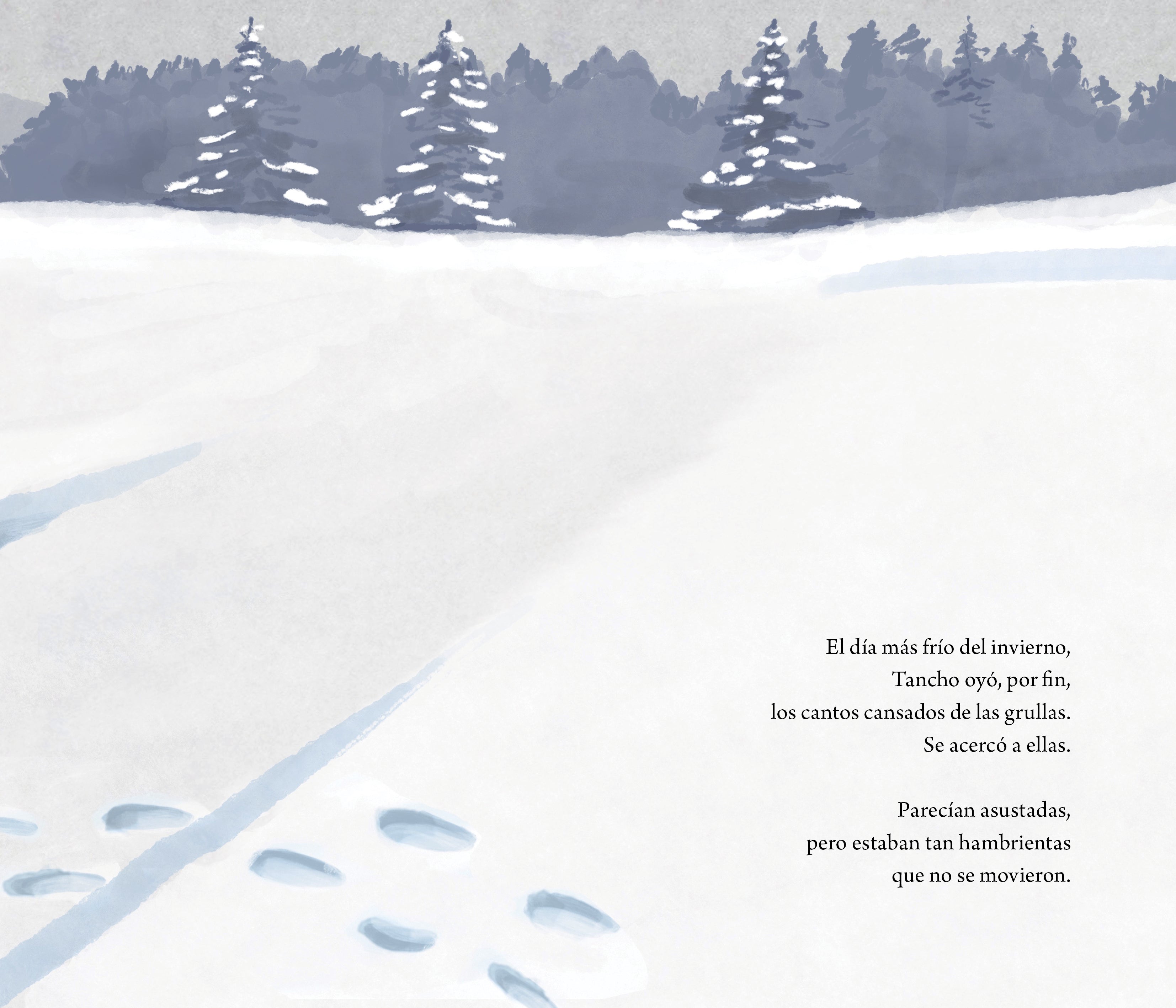 Libro - Tancho