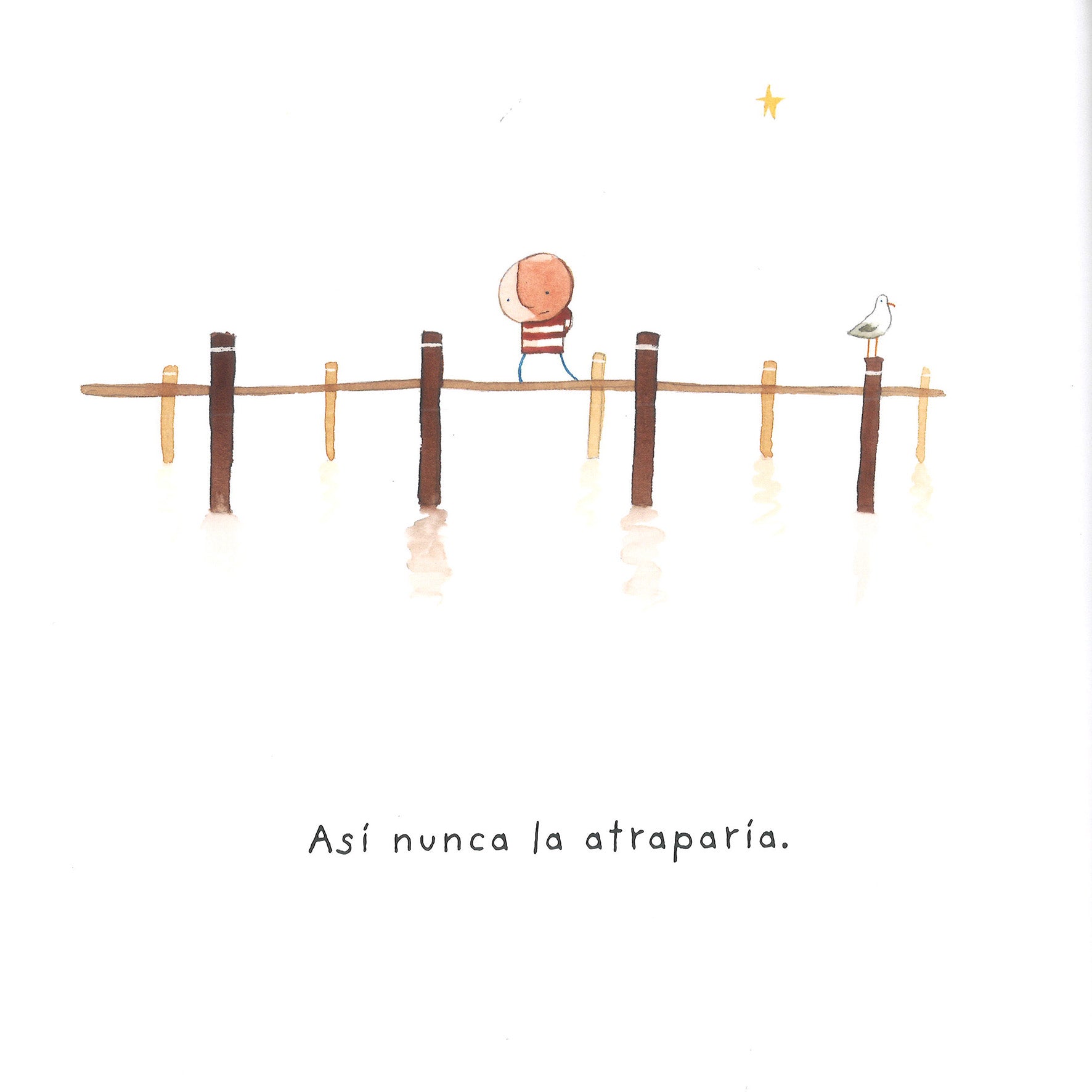 Libro - Cómo atrapar una estrella