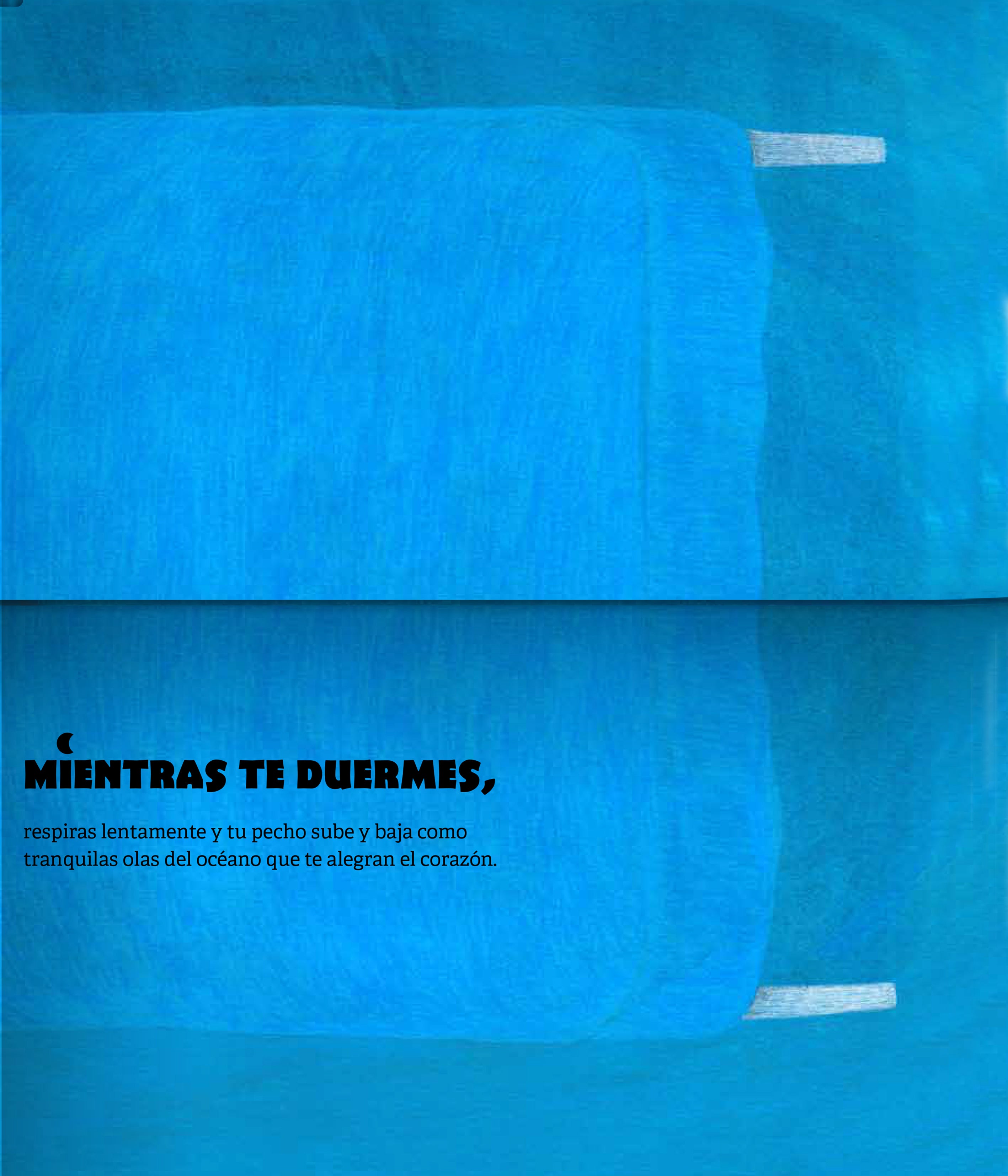 Libro - Mientras duermes