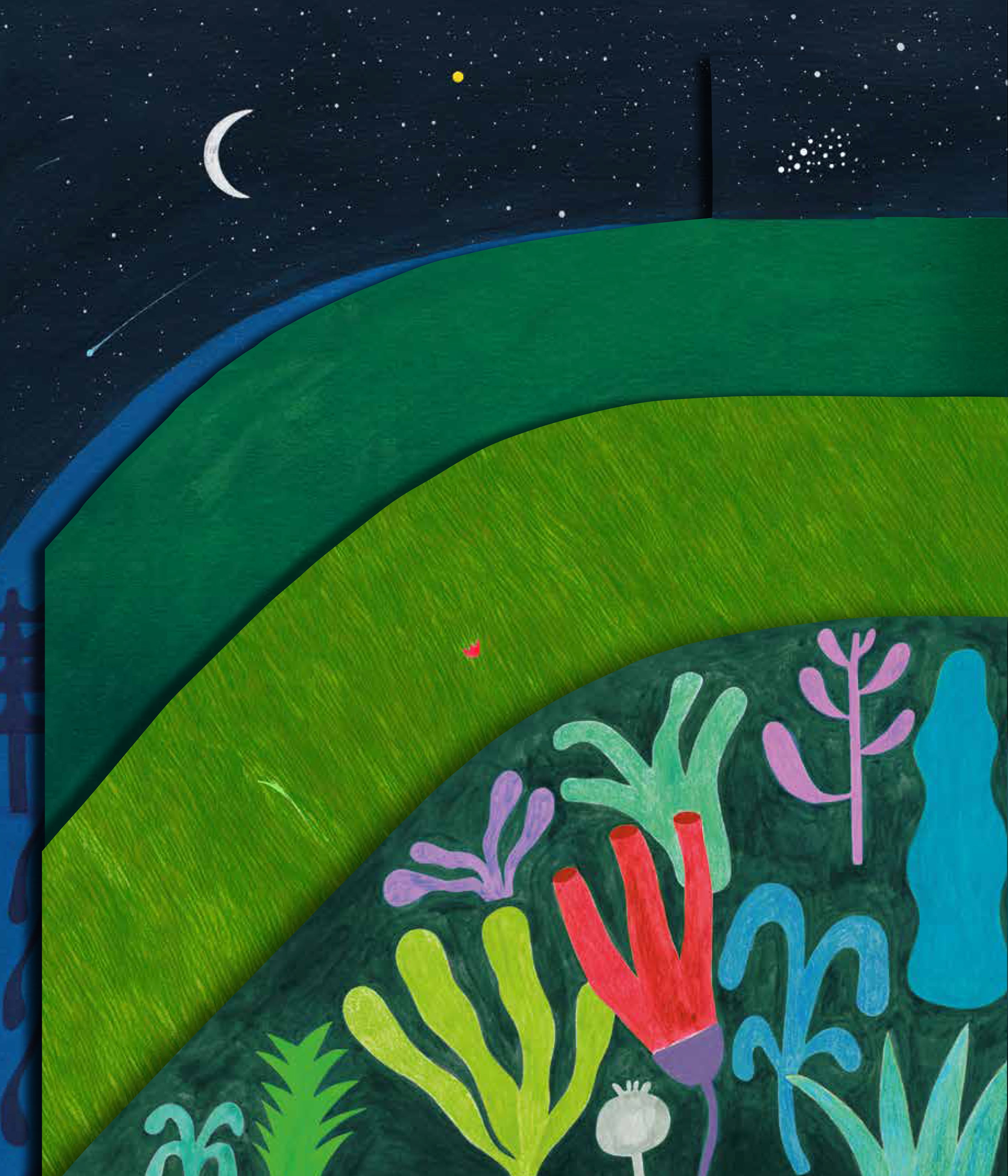 Libro - Mientras duermes