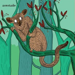 Libro - Bestiario de las emociones