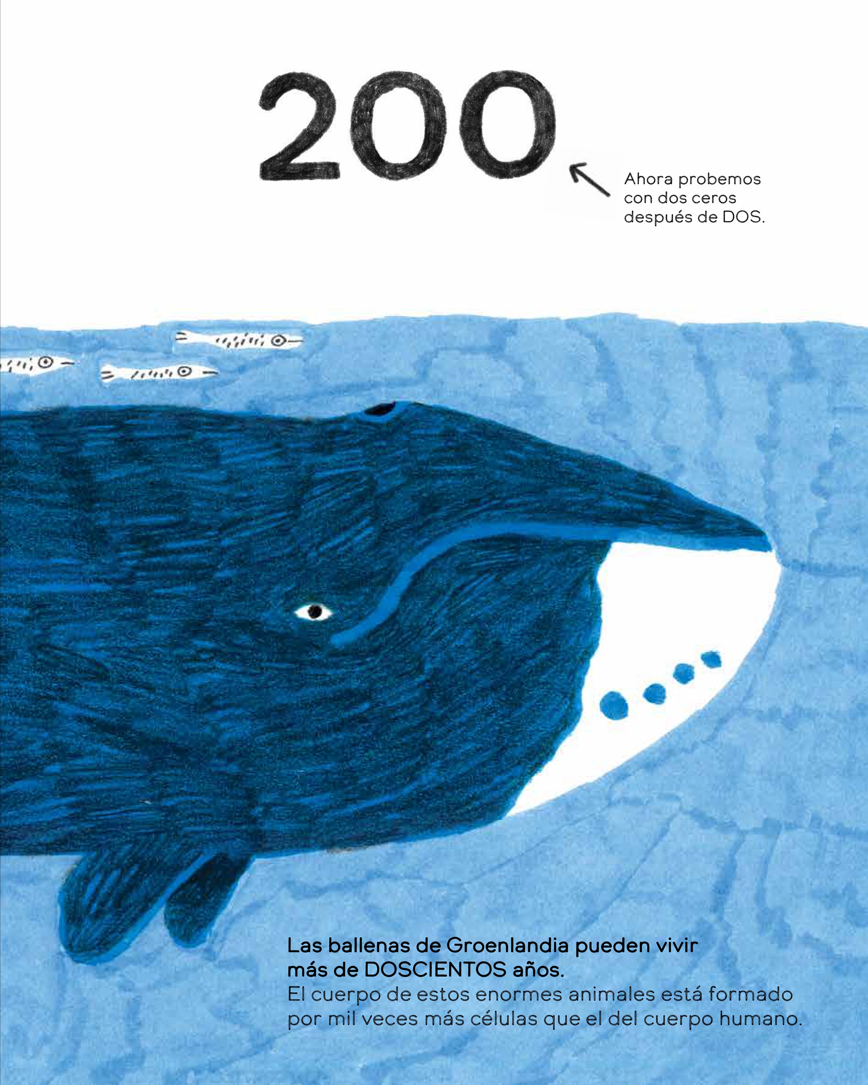 Libro - Los pulpos tienen cero huesos