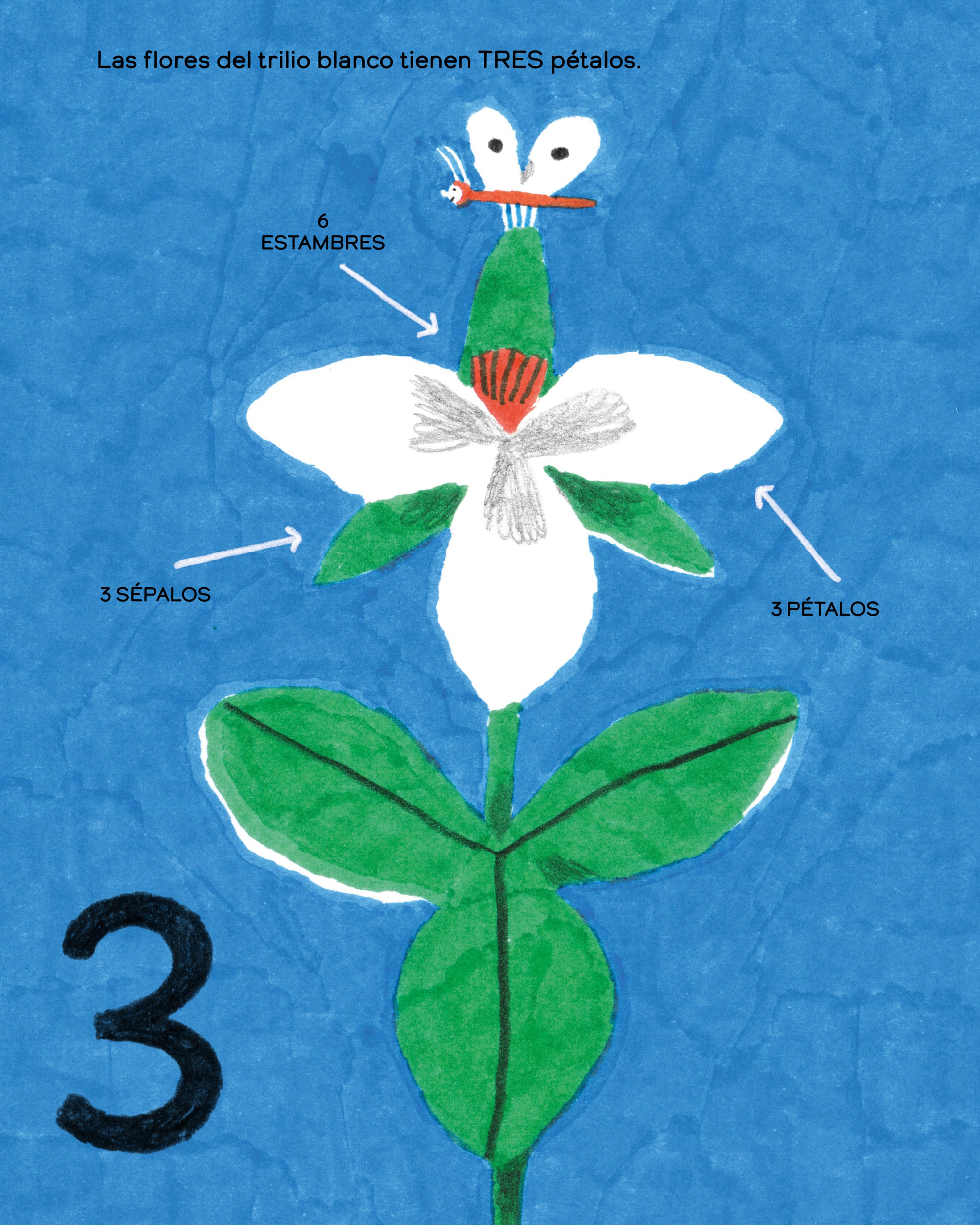 Libro - Los pulpos tienen cero huesos