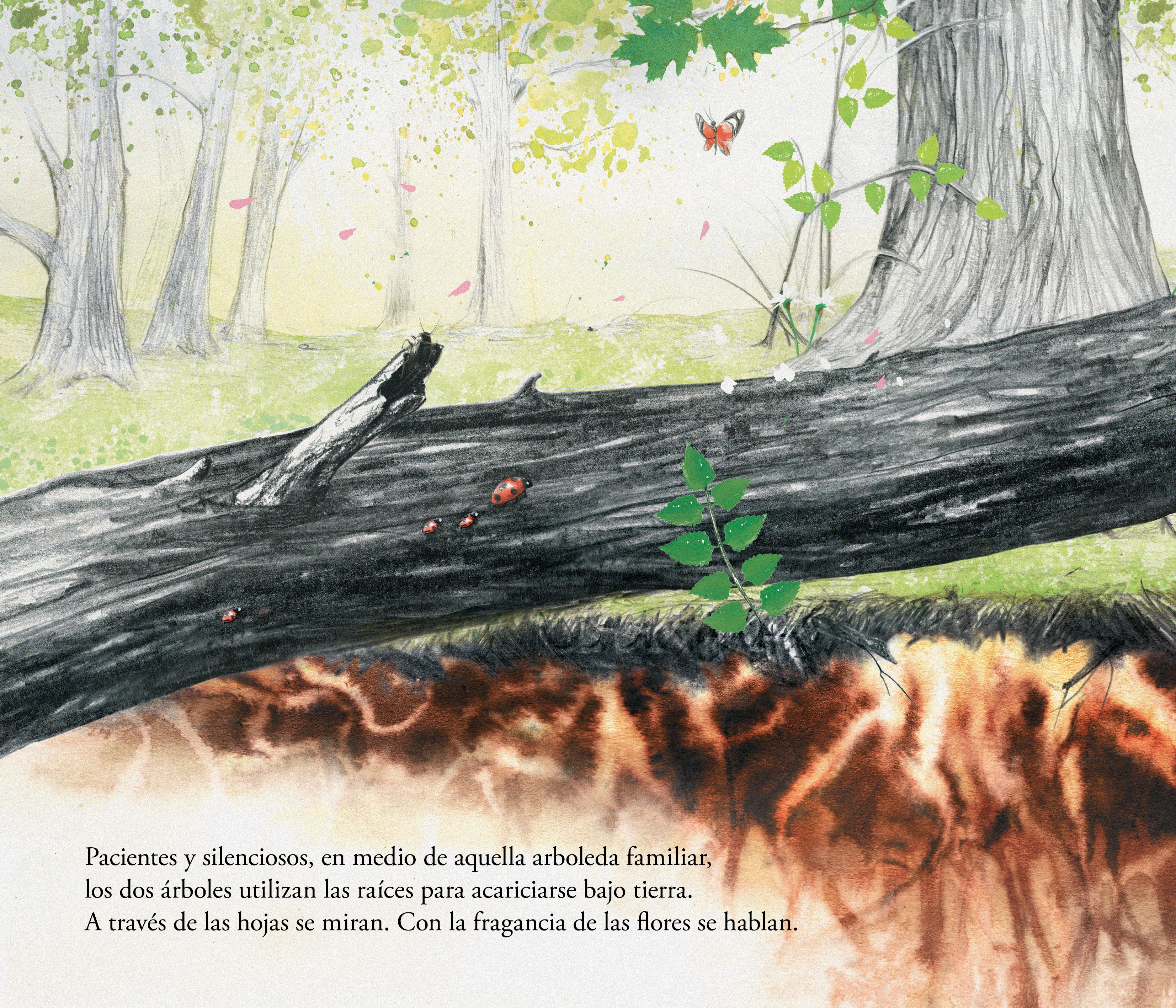 Libro - El despertar del árbol