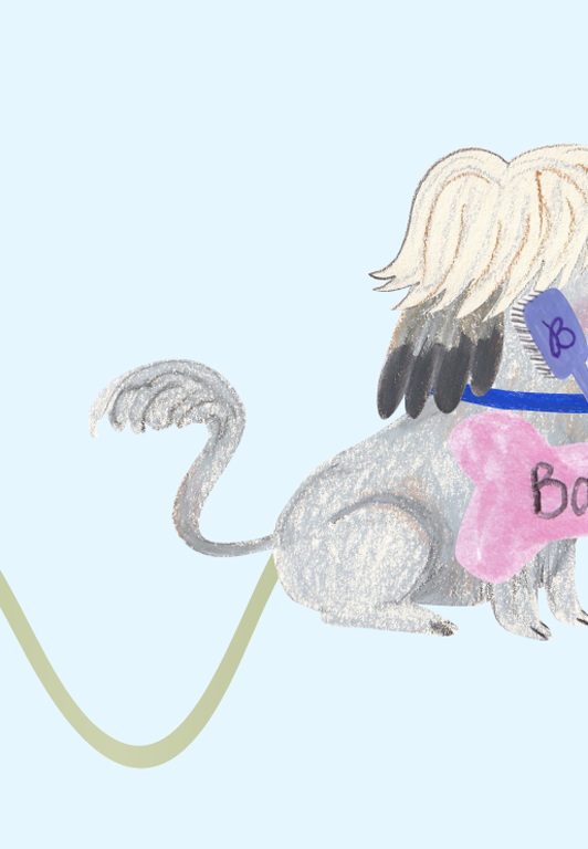 Libro - Baltazar