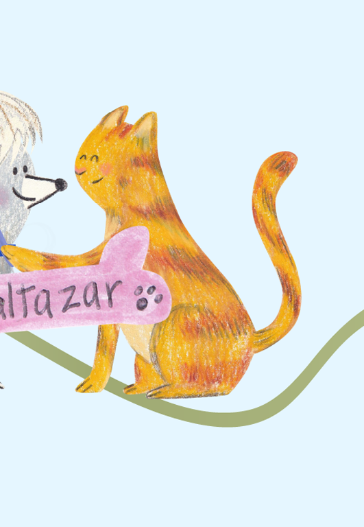 Libro - Baltazar