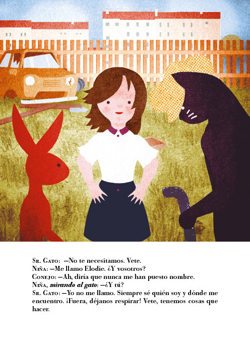 Libro - Señor Gato